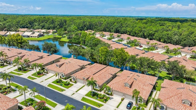 3876 Timber Ridge Ct, Palm Harbor, FL 34685 - photo 42