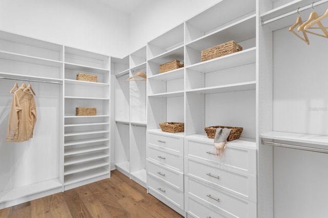 spacious closet with wood finished floors
