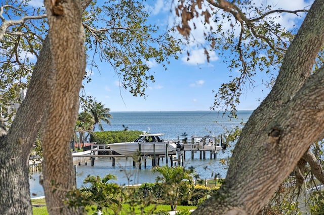 property view of water with a boat dock