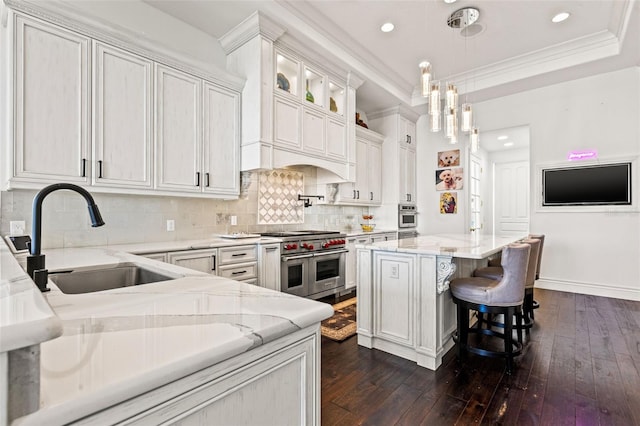 kitchen featuring light stone counters, a tray ceiling, dark wood-style floors, appliances with stainless steel finishes, and a sink