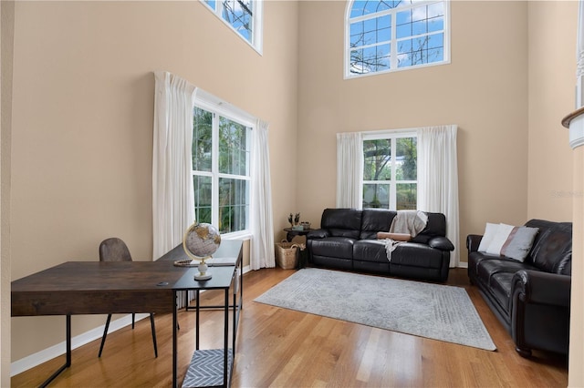 living area featuring baseboards, wood finished floors, and a healthy amount of sunlight