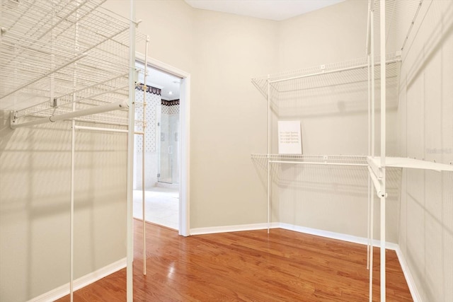 spacious closet featuring wood finished floors