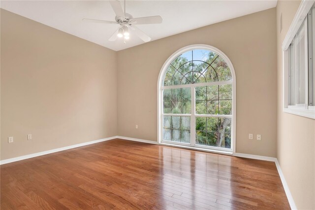 407 S W Shore Blvd, Tampa, FL 33609 - photo 33