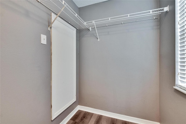 spacious closet featuring dark wood-type flooring