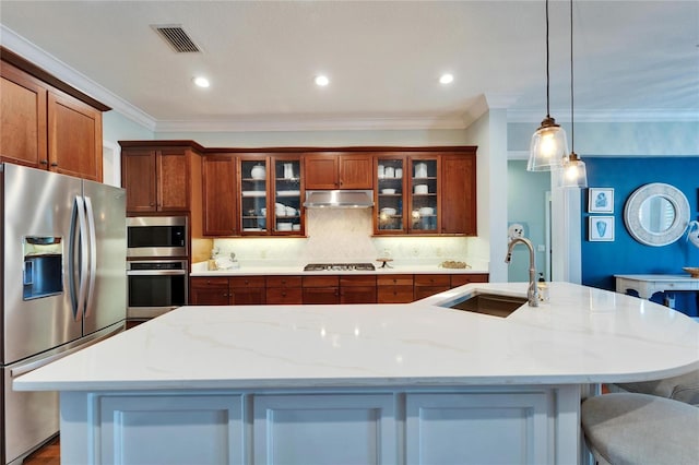 5616 Seagrass Pl, Apollo Beach, FL 33572 - kitchen with tasteful backsplash, visible vents, appliances with stainless steel finishes, a sink, and under cabinet range hood