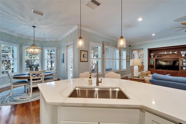 5616 Seagrass Pl, Apollo Beach, FL 33572 - kitchen with light stone counters, a sink, visible vents, open floor plan, and dark wood-style floors