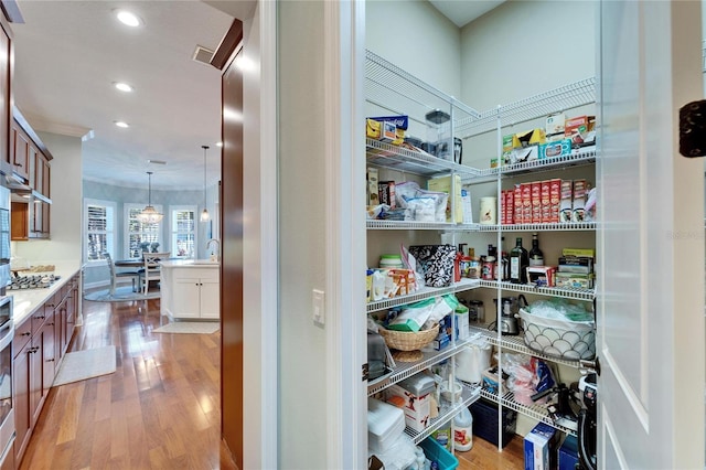 5616 Seagrass Pl, Apollo Beach, FL 33572 - view of pantry