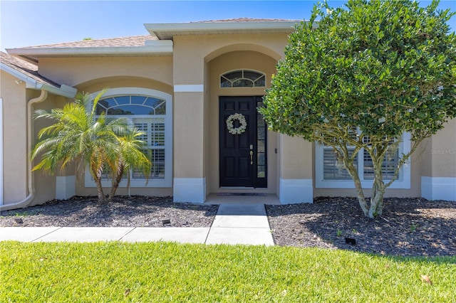 entrance to property featuring roof with shingles and stucco siding