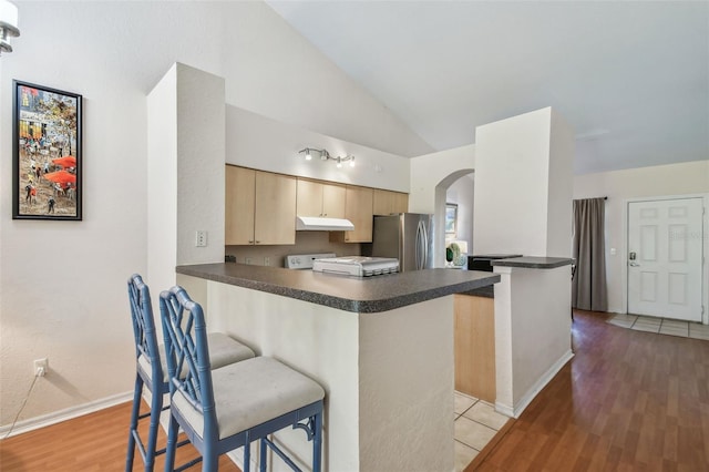 kitchen featuring lofted ceiling, under cabinet range hood, a peninsula, freestanding refrigerator, and dark countertops