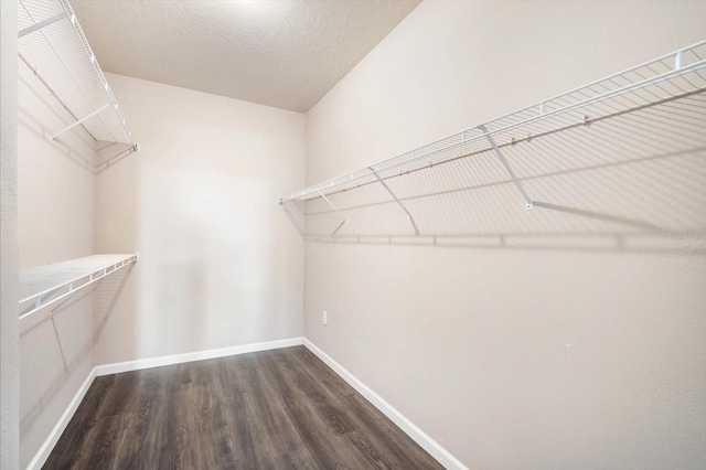 spacious closet featuring dark wood-type flooring