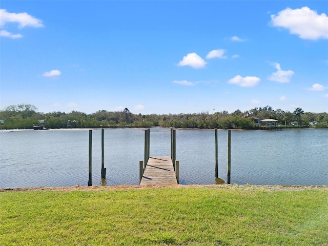 8603 Magnolia St, Gibsonton FL, 33534 land for sale