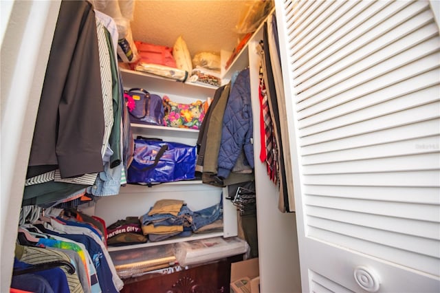 view of walk in closet