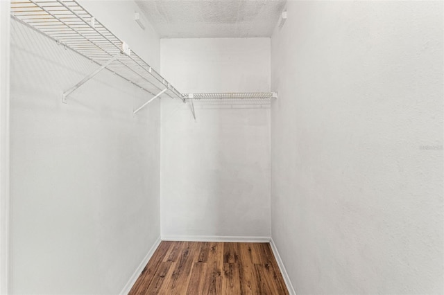 walk in closet featuring wood finished floors