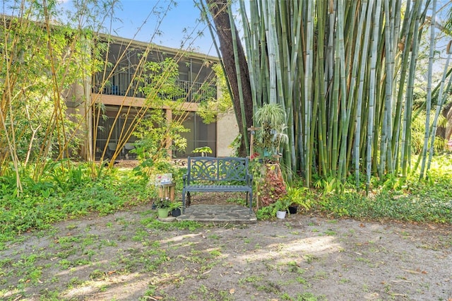 view of yard featuring a sunroom