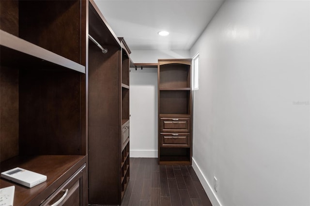 walk in closet featuring dark wood finished floors