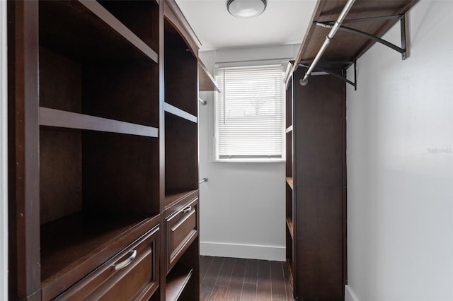 spacious closet featuring dark wood finished floors