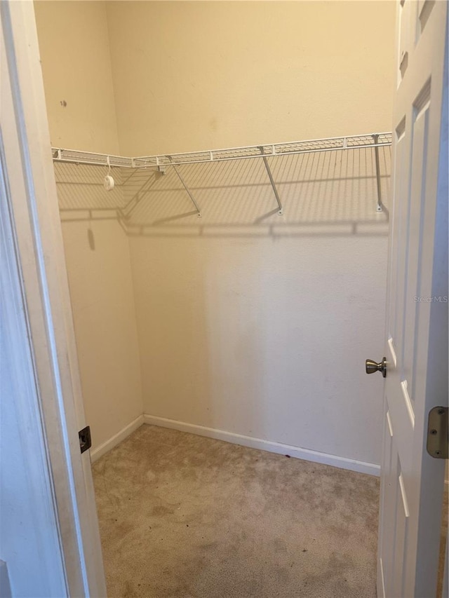 spacious closet with carpet