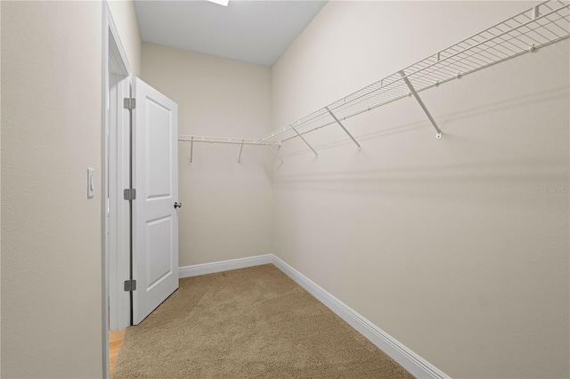 walk in closet with light colored carpet