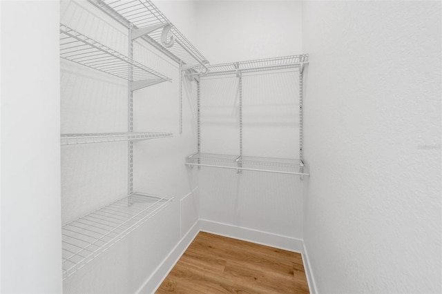 walk in closet with wood finished floors