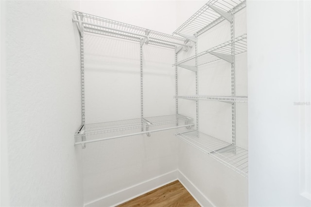 walk in closet with wood finished floors