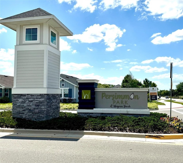 3579 Sweet Mabolo St, Wesley Chapel, FL 33543 - photo 31