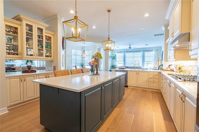 kitchen with light wood finished floors, light countertops, and appliances with stainless steel finishes