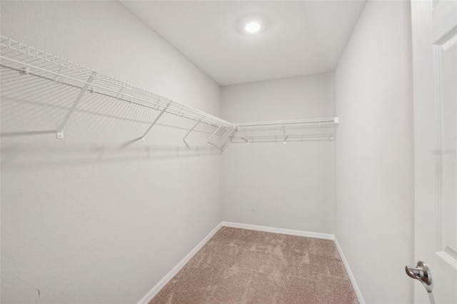 spacious closet featuring carpet floors