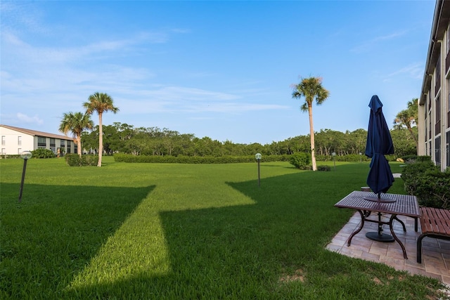 view of yard featuring a patio area