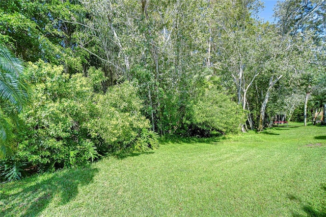 view of yard with a wooded view