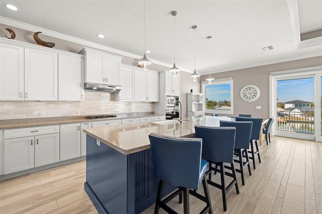 15904 Redington Dr, Redington Beach, FL 33708 - kitchen with light wood finished floors, visible vents, appliances with stainless steel finishes, a kitchen island with sink, and under cabinet range hood