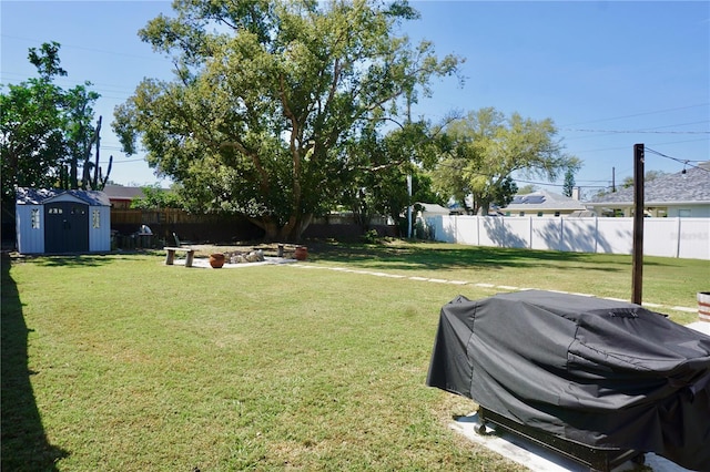 view of yard with a fenced backyard, an outdoor structure, and a storage unit