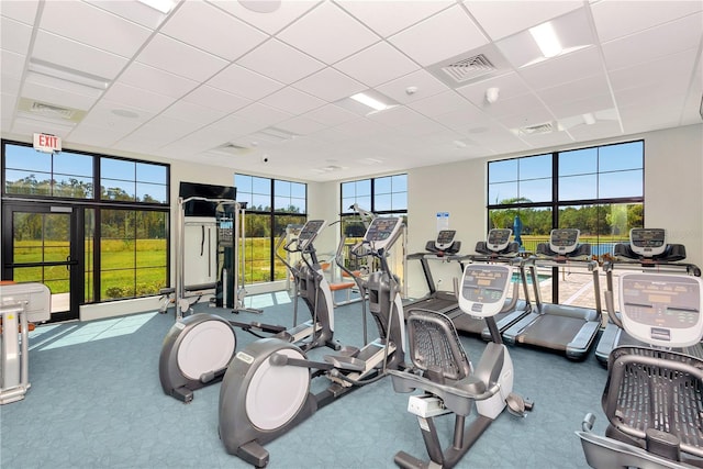 gym featuring a paneled ceiling, visible vents, and carpet flooring