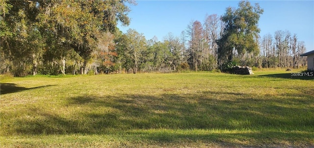 11124 Lake Shore Dr, Land O Lakes FL, 34637 land for sale