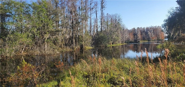 Listing photo 2 for 11124 Lake Shore Dr, Land O Lakes FL 34637