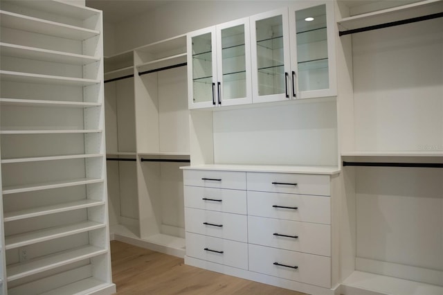 spacious closet featuring light wood-style floors