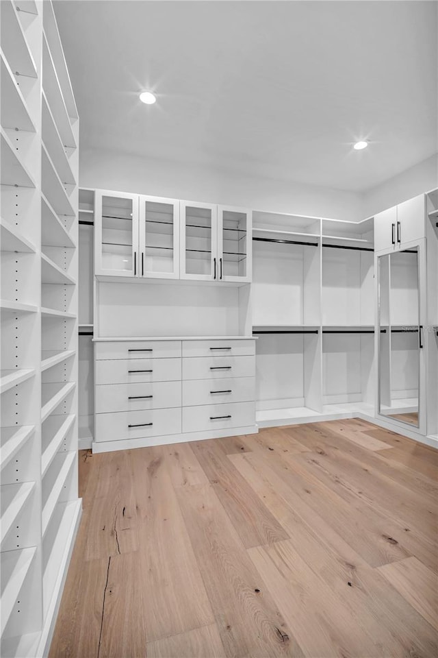 5017 W Dickens Ave, Tampa, FL 33629 - spacious closet with light wood-type flooring