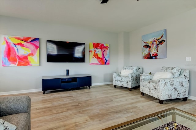 living room featuring baseboards and wood finished floors