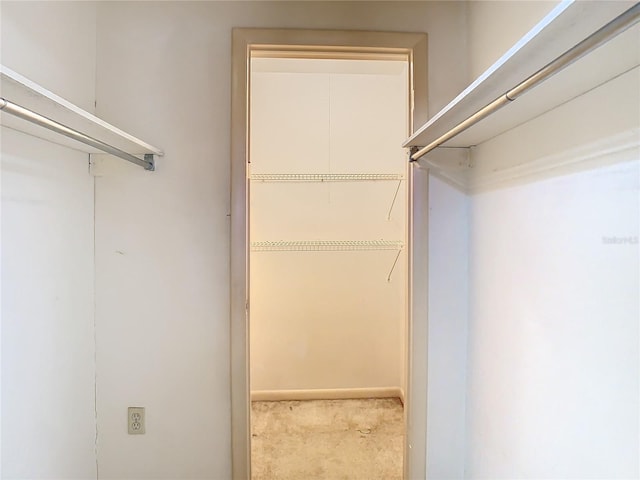 view of walk in closet