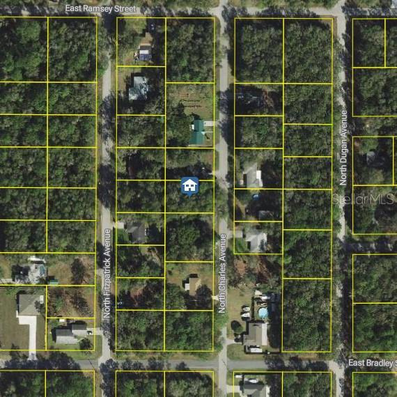 452 N Charles Ave, Inverness FL, 34453 land for sale