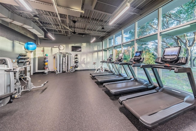 workout area with plenty of natural light