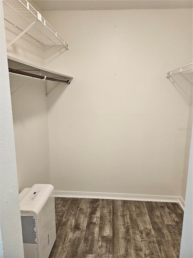 walk in closet featuring dark wood-type flooring