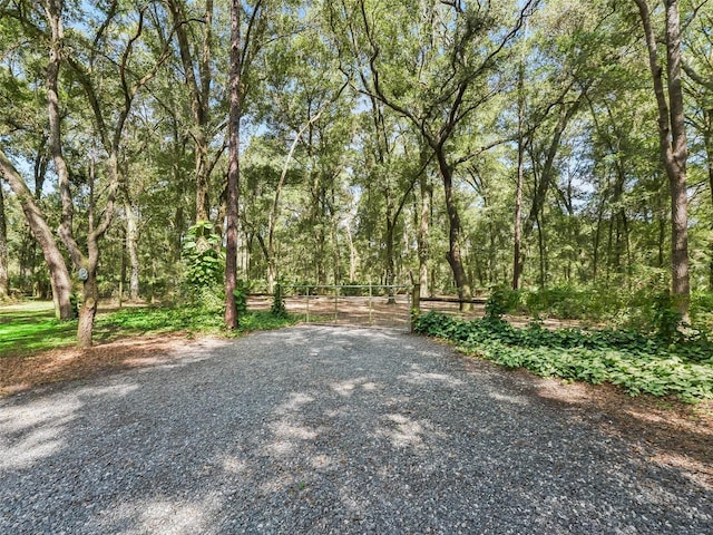 view of yard with gravel driveway, fence, and a gate