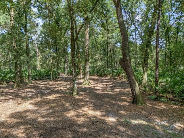 view of landscape with a wooded view