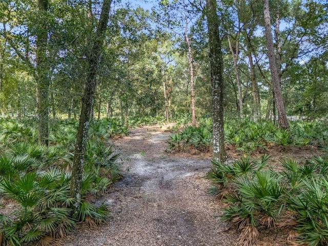 view of street featuring a forest view