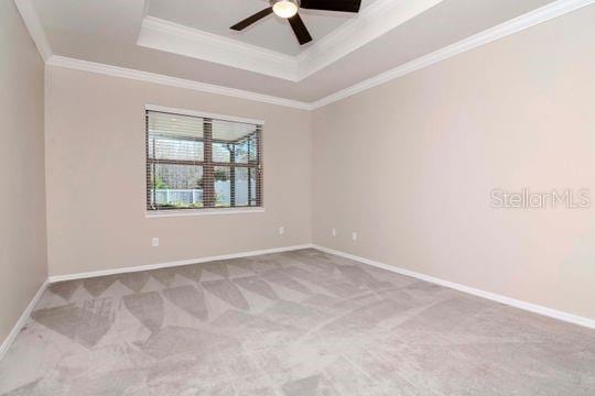 carpeted empty room with baseboards, crown molding, a tray ceiling, and a ceiling fan