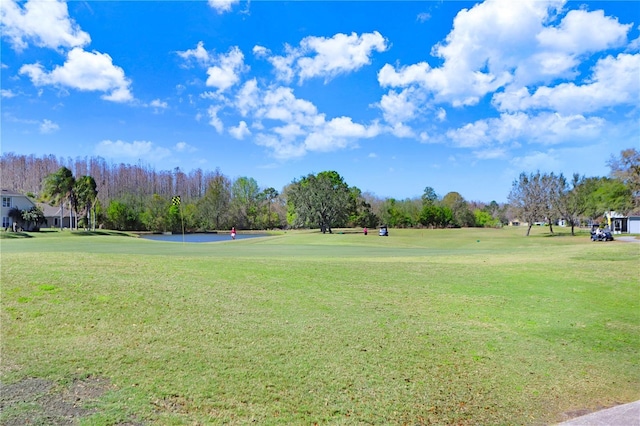 view of community with a lawn