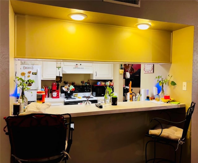 kitchen featuring under cabinet range hood, a kitchen bar, electric range oven, and freestanding refrigerator