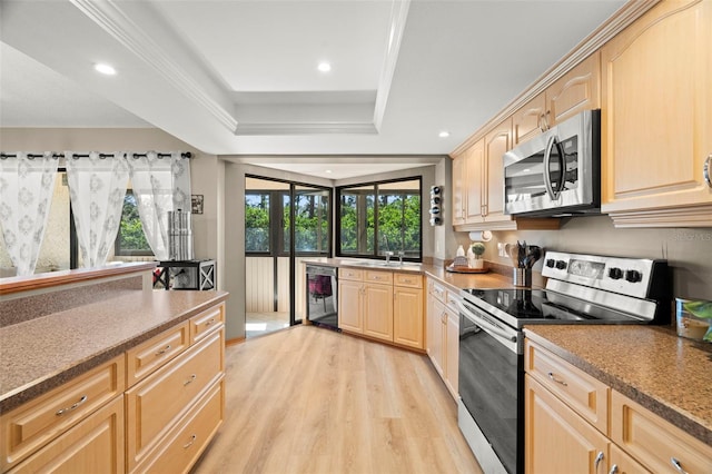 kitchen with a sink, appliances with stainless steel finishes, light brown cabinetry, light wood finished floors, and a tray ceiling