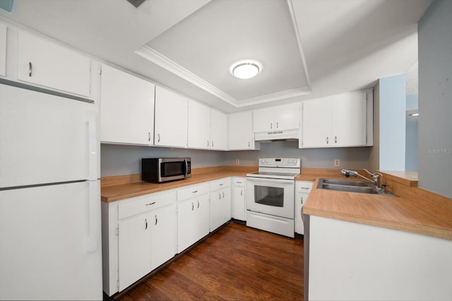 kitchen featuring a sink, white appliances, a raised ceiling, and under cabinet range hood