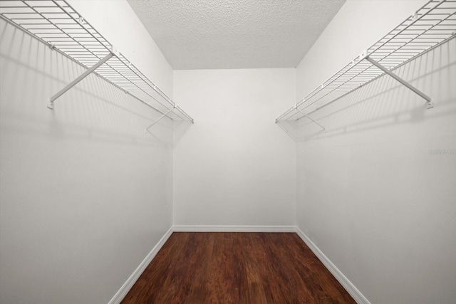 walk in closet with wood finished floors